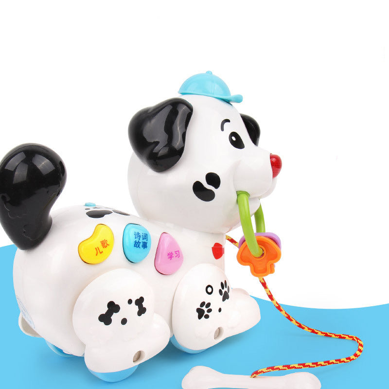 Brinquedo educativo para cães