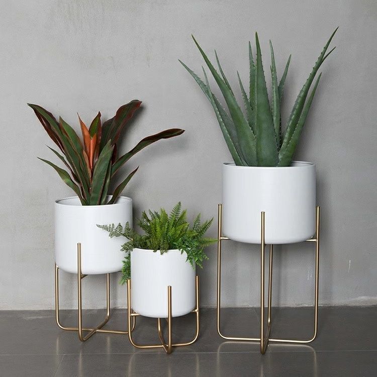 Light Luxury Floor-style Golden Iron Plant Decoration Ornaments