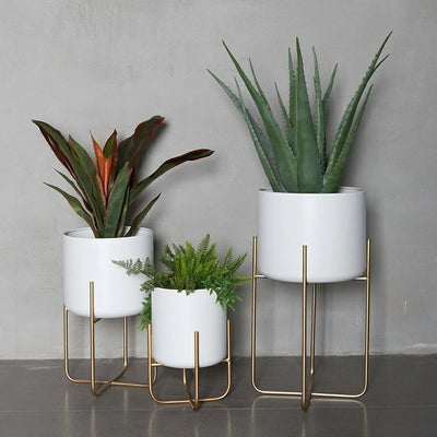 Light Luxury Floor-style Golden Iron Plant Decoration Ornaments