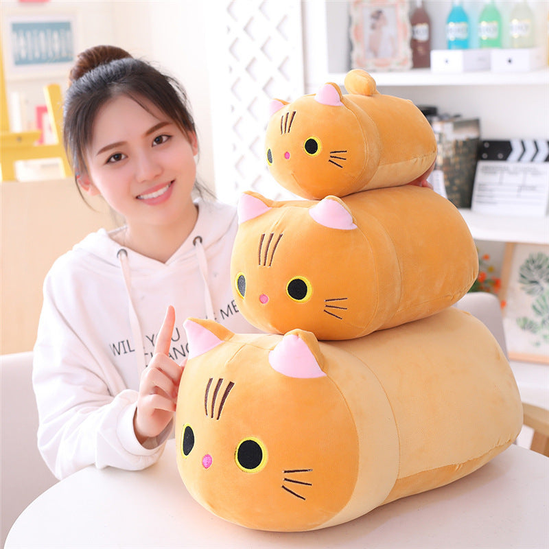 Poupée en peluche chat dodu mignon, douce et mignonne, poupée de chiffon chat