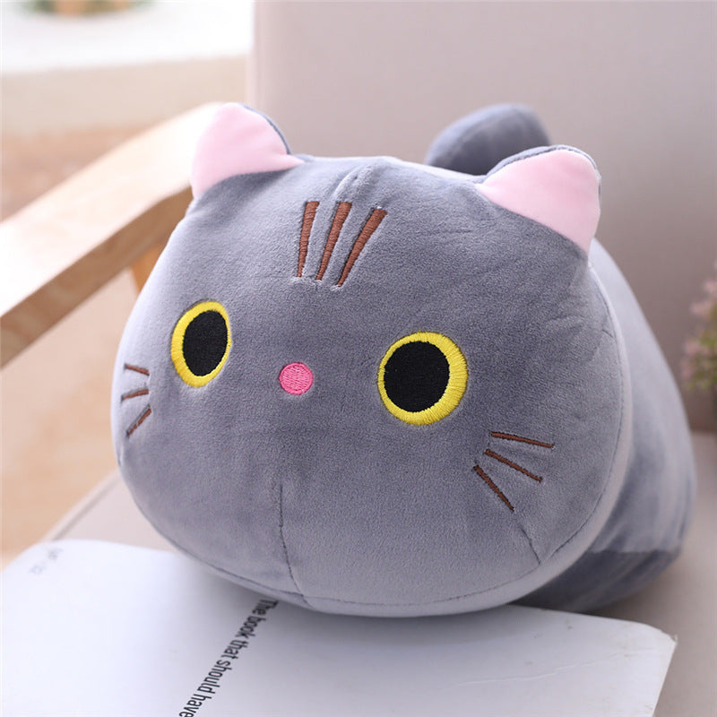 Poupée en peluche chat dodu mignon, douce et mignonne, poupée de chiffon chat