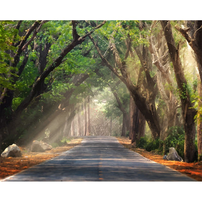 Hd Inkjet Canvas Painting Frameless Painting Customization