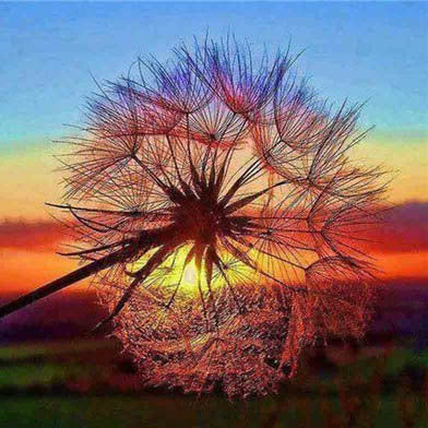 Peinture à l'huile, point de croix, peinture diamant, fond mural