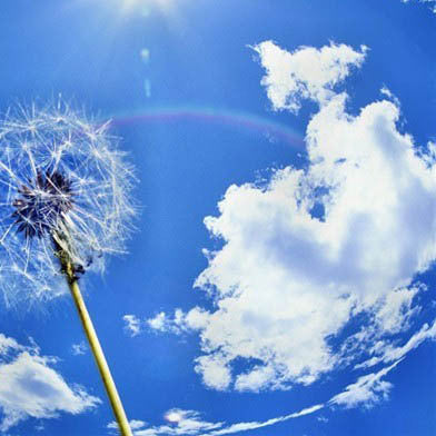 Peinture à l'huile, point de croix, peinture diamant, fond mural