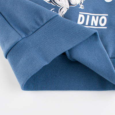 pull dinosaure pour enfants