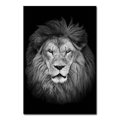 Black And White Animals Tiger And Lion Wall Art Canvas Print Poster