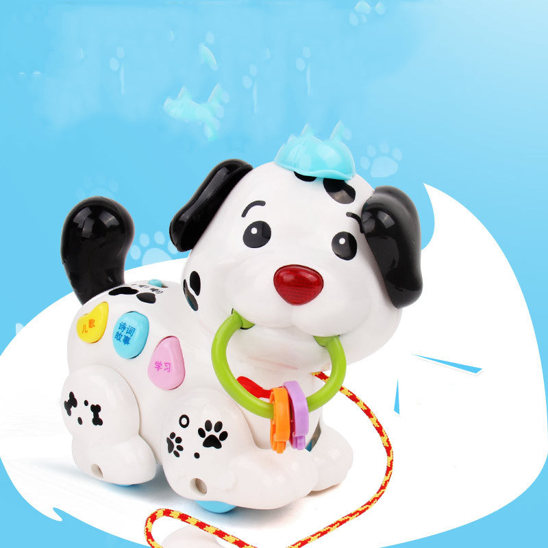 Brinquedo educativo para cães