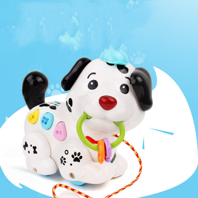 Brinquedo educativo para cães