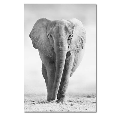 Black And White Animals Tiger And Lion Wall Art Canvas Print Poster