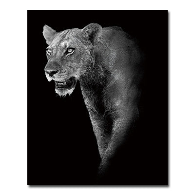 Black And White Animals Tiger And Lion Wall Art Canvas Print Poster