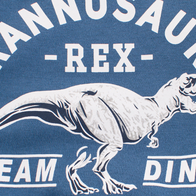 pull dinosaure pour enfants