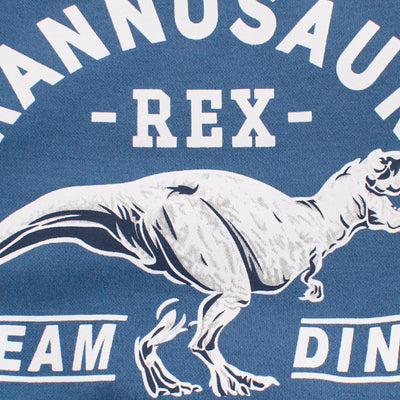 pull dinosaure pour enfants