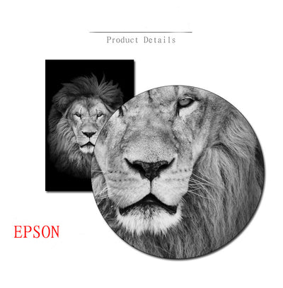 Black And White Animals Tiger And Lion Wall Art Canvas Print Poster