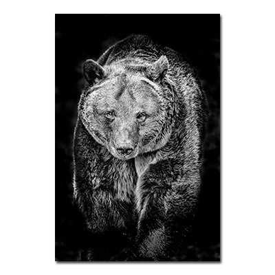 Black And White Animals Tiger And Lion Wall Art Canvas Print Poster