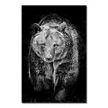 Affiche sur toile imprimée représentant un tigre et un lion en noir et blanc