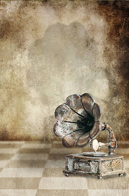 Tableau sur toile vintage antique