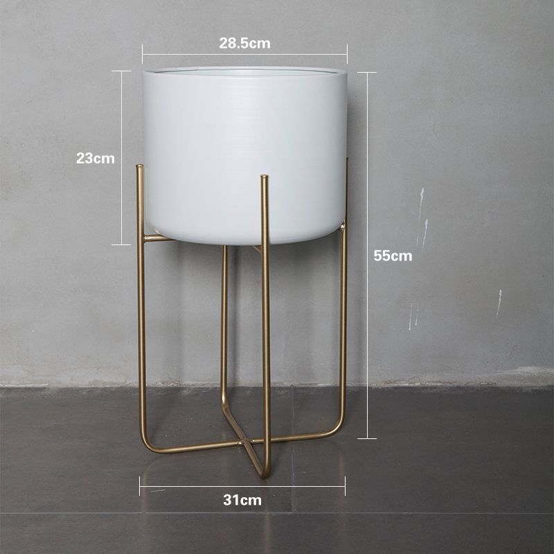 Light Luxury Floor-style Golden Iron Plant Decoration Ornaments