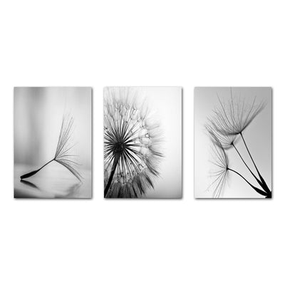 Modern Black And White Art Dandelion Painting Core Canvas Painting