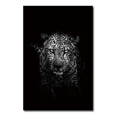Black And White Animals Tiger And Lion Wall Art Canvas Print Poster