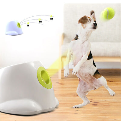 Dog pet Tennis Launcher - Firebrands