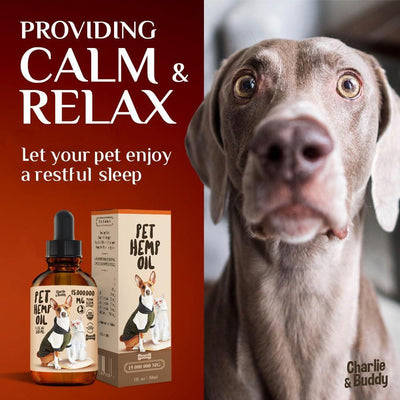 Hemp oil for dogs and cats providing calm and relaxation for pets with a restful sleep.