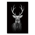 Poster em tela com animais a preto e branco: tigre e leão para decoração de parede.