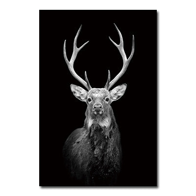 Black And White Animals Tiger And Lion Wall Art Canvas Print Poster