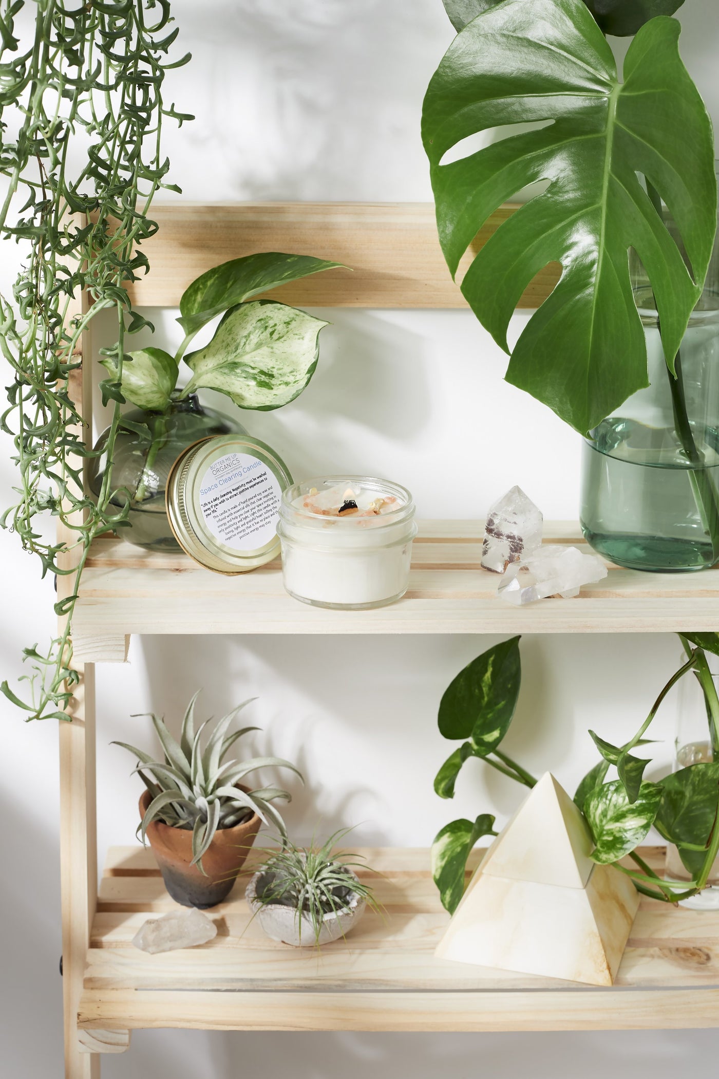 Space clearing intention candle surrounded by plants on a wooden shelf, ideal for cleansing and setting intentions.