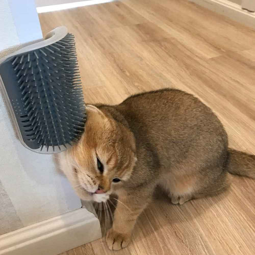 Cat Self Groomer Corner Brush - Essential Cat Self Groomer Brush for Feline Friends