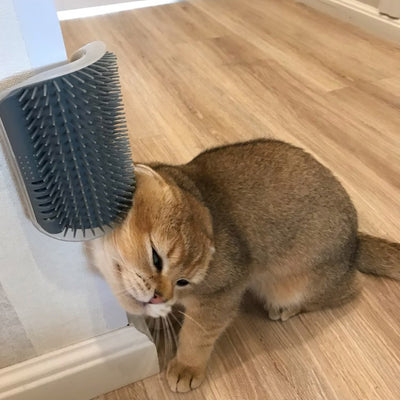Cat Self Groomer Corner Brush - Firebrands