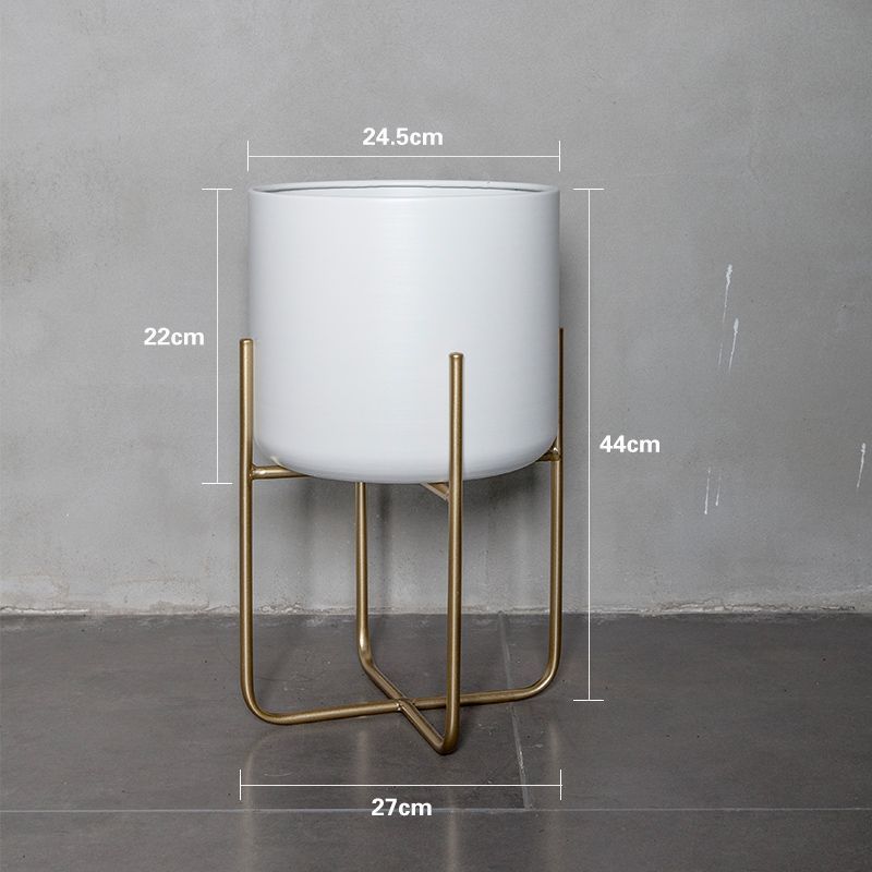 Light Luxury Floor-style Golden Iron Plant Decoration Ornaments