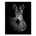 Black And White Animals Tiger And Lion Wall Art Canvas Print Poster