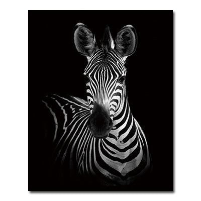 Black And White Animals Tiger And Lion Wall Art Canvas Print Poster