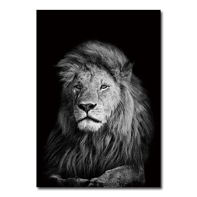 Black And White Animals Tiger And Lion Wall Art Canvas Print Poster