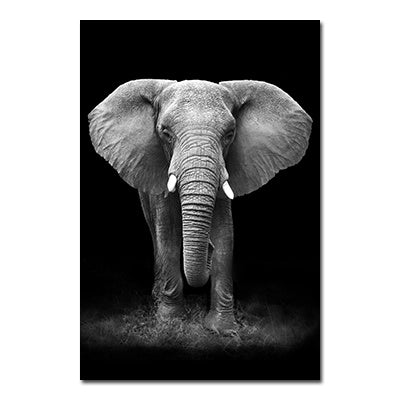 Black And White Animals Tiger And Lion Wall Art Canvas Print Poster