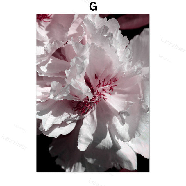 Pintura em tela decorativa com flor de peónia