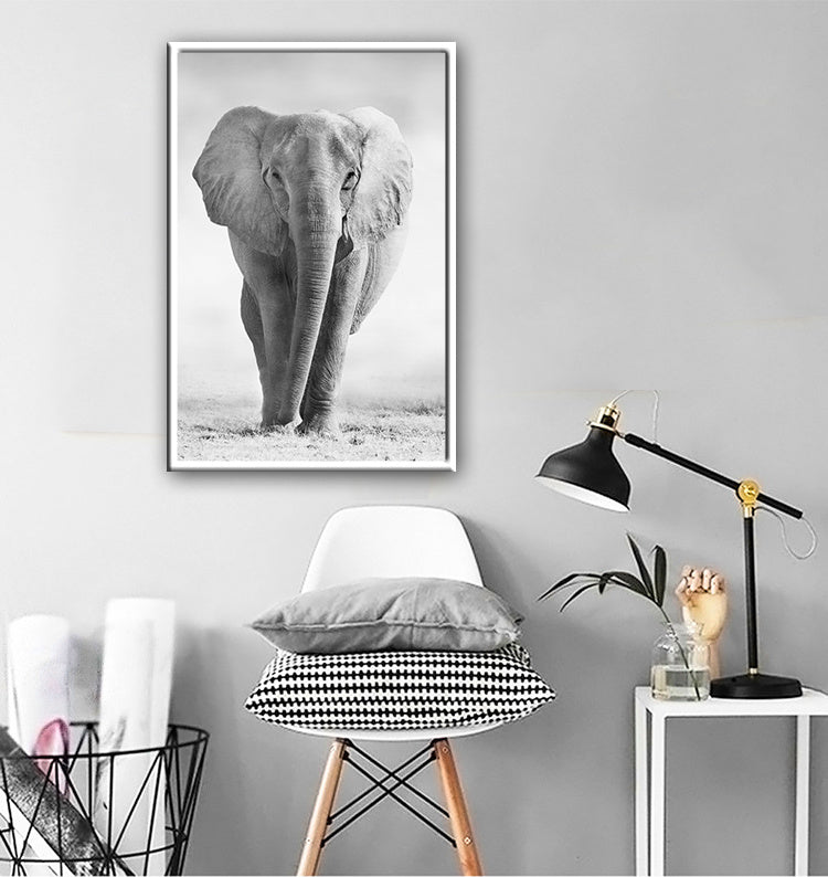 Black And White Animals Tiger And Lion Wall Art Canvas Print Poster