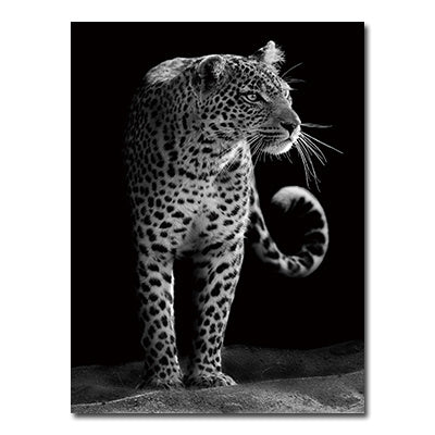 Black And White Animals Tiger And Lion Wall Art Canvas Print Poster