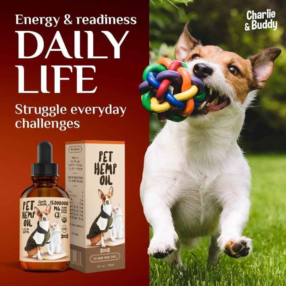 Hemp oil for dogs and cats