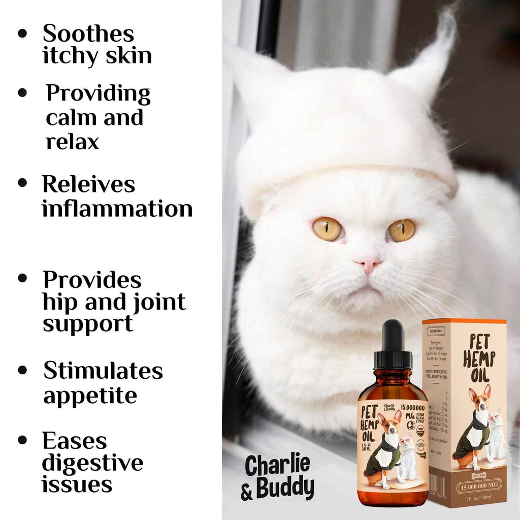 Hemp oil for dogs and cats