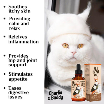 Hemp oil for dogs and cats with benefits for itchy skin, inflammation relief, and joint support.