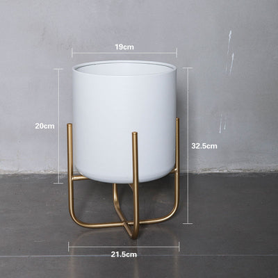 Light Luxury Floor-style Golden Iron Plant Decoration Ornaments