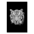 Poster em tela com animais a preto e branco: tigre e leão para decoração de parede.