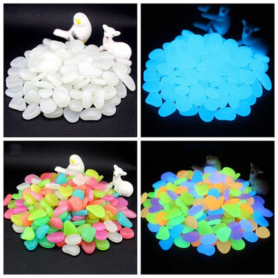 Glow in the Dark Garden Pebbles - Firebrands